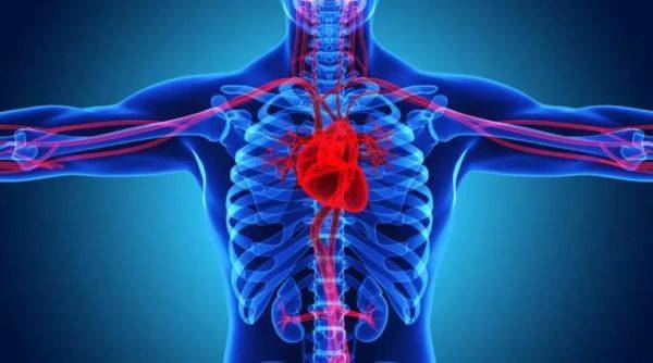 957_9a6c6fe85772ad3be2b0907d663486a4.jpg 957_9a6c6fe85772ad3be2b0907d663486a4.jpg