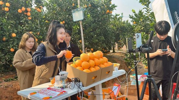 文化赋能+产地直连 作家张萌赣南山间直播解锁助农新范式